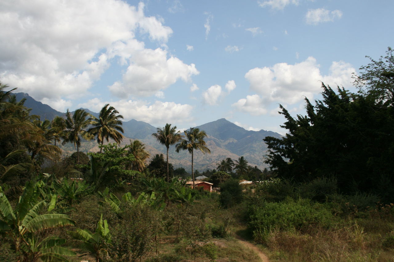 Bilder fra reisen Dar Es Salaam til Udzungwa