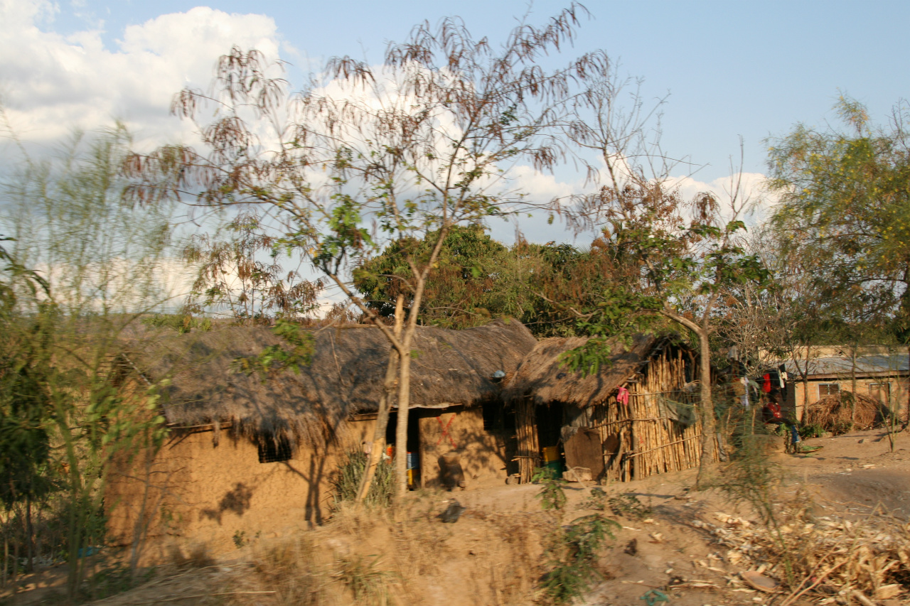 Bilder fra reisen Dar Es Salaam til Udzungwa